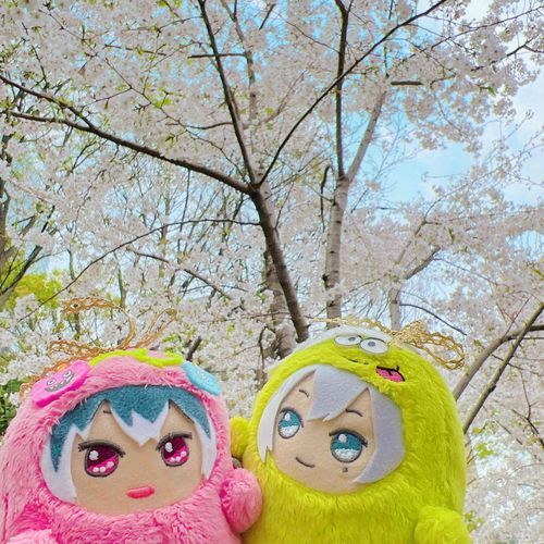 🍐さくらきれいだったね