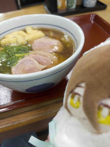 鴨うどんが 1番ナノ