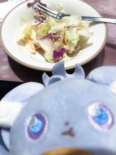 にゃすはやさいたべる！