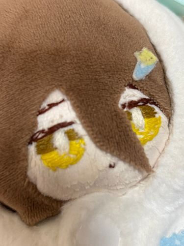 ゴロゴロナノ