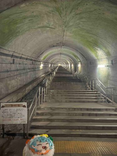 因みに谷川岳行く前、土合駅もついでに行きました✨️
この階段462段もあって、動き回ってる仕事してる身からすると2往復で限界でした_(:3｣ ∠ )_
