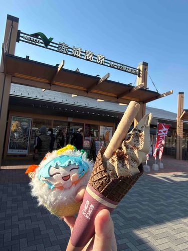 昨日の話なんだけど、帰りに食べた赤城高原SA(上り)名物大和屋コーヒーソフトクリーム☕️🍦✨️
ソフトクリームの上にコーヒー豆を粉状にしたものをふりかけてくれました✨️
コーヒー自体あまり飲まないんだけど、これは美味かった🤩