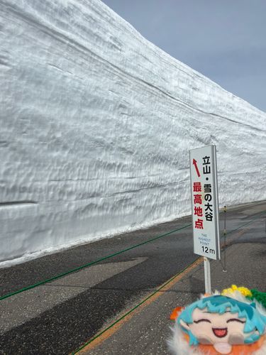 今日は雪の大谷(富山県)に行ってきました✨️
12m低いなぁって思ってたけど、思った以上に高かったんだけど🫨
初めて行ったけど、くっそ寒いし、インバウンド客多すぎて移動くっそ大変だった🥶