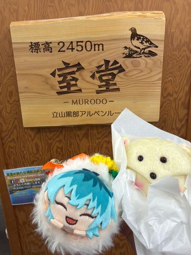 あと室堂駅名物のオコジョまん✨️
片手持ちは大分苦戦したけど、どうにか撮れた😂
因みに中は粒あんで美味しかったです😋