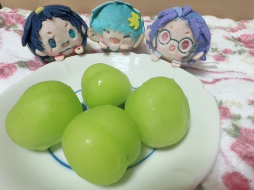 ご無沙汰しております。
日曜日から父親のインフルが移ってしまい、暫くぬい撮り投稿をお休みしております。
今現在、やっとスマホ弄れるぐらいにはなってきました😭
だけど、右脇腹が痛むほど咳が酷くて中々止まりません🙂
なので、完全復活するまでもう暫くお待ちください。