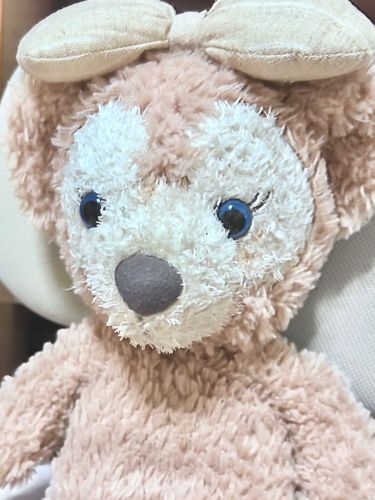 これからぬい達との日常を共有していきます♪

この子は保育園児からのお友だちです🥰