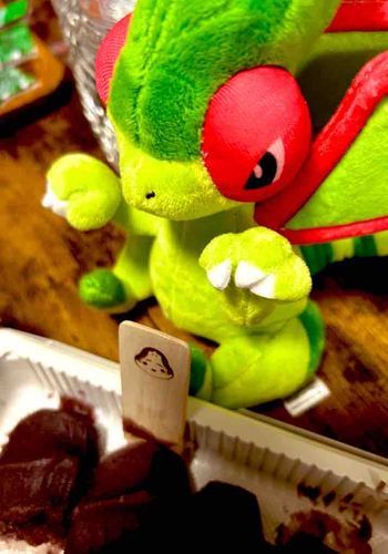 郁が母を鼓舞するために お互い頑張ろうねの意味で、フライゴンを付き添いとして一緒に帰らせた……ら、お母様が 実家から写真送ってくださいました😍