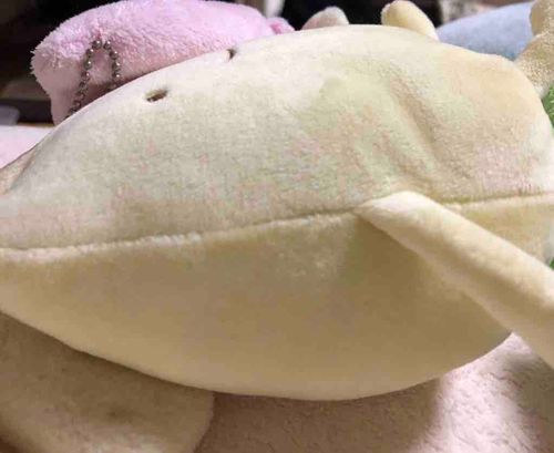 脇腹です
