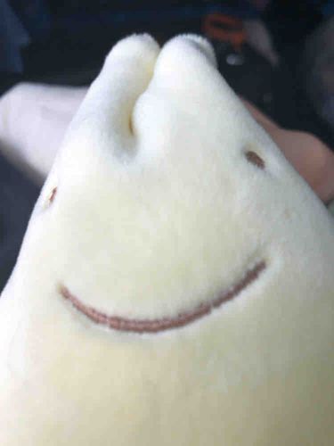 渾身の へんがお