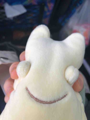 ﾋｰﾝ
