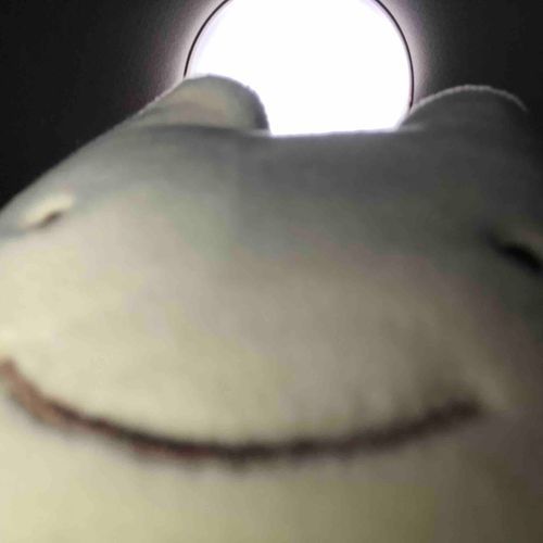 けふは風が強かったでごわすねェ