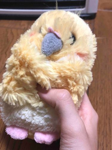 寒くていまこれ