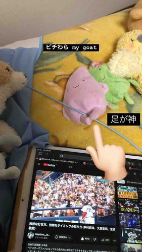 足がキュッてなてるピーチのわらび