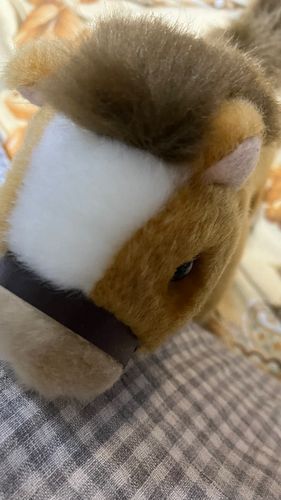 おウマ