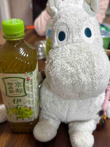 ムームー
初めましてですムー❕
ぬい主のさぁちゃんが前のアカウントに入れなくなっちゃったからムー、ムーが新たに作ってもらったですムー❕