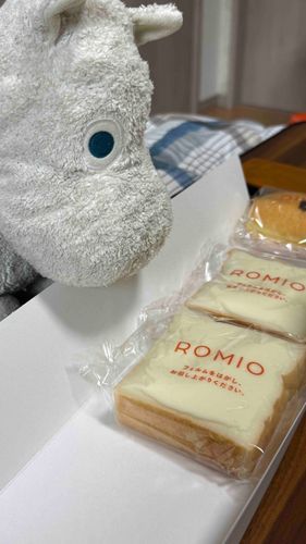 さぁちゃんのお父さんが、お土産に買って来たパン🍞ですムー❕
上に乗ってるクリームがあまあまでうまうまですムー❕