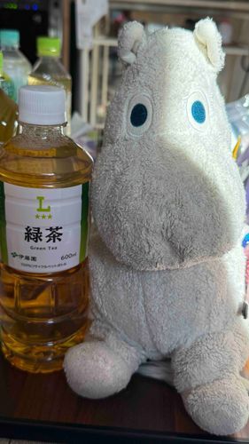 おはようですムー❕
ムーとさぁちゃん、ローソンに行って来たのムー❕
今日のお茶はローソンの緑茶ムー❕
ムー緑茶🍵大好きだからムー、さぁちゃんと好み合うですムー