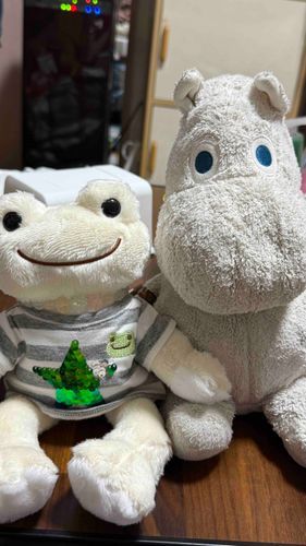 今日さぁちゃんがおむかえるしたかえるのピクルスの雪玉くんですムー❕
ムーね、もうお友達になったのムー❕
雪玉くんケロケロなくけどかわいいんだよムー❕