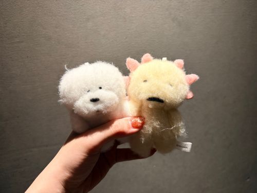 はじめまして
これからよろしくね。