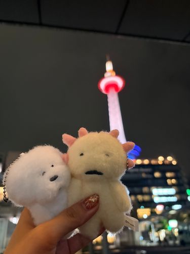 京都のヨドバシカメラをぼーっと下向いて歩いてたら、クレーンゲームの一番下の段で目が合って。
二人とも1回で落ちてきてくれて、多分これ運命だと思う。