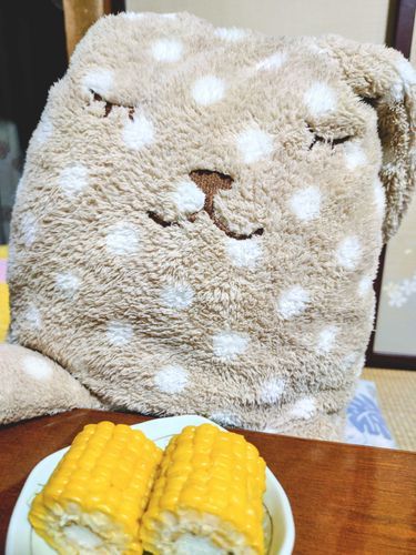 今季初と思われるとうもろこしを食すうさぎさん