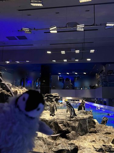 ふーん、水槽の中も悪くなさそうだね