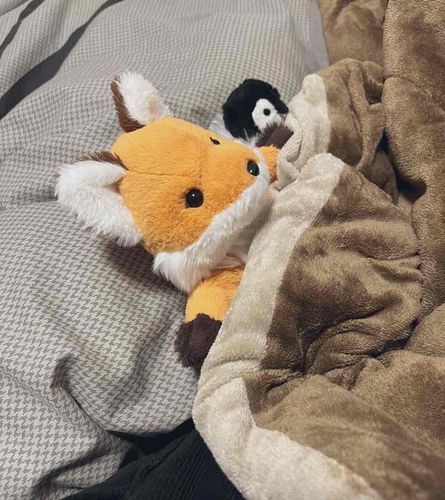 おこたでぬくぬく。コンちゃんと一緒にあったまる。
