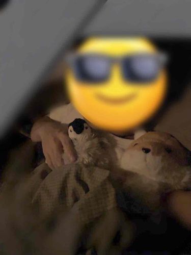 同居人が寝てる隙に人形達を置いておいたらﾑﾝｸ抱えて寝てた。ﾑﾝｸとコンちゃんもおやすみね。