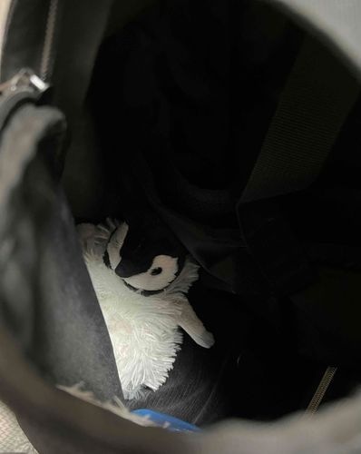 勝手にバッグの中に入ってお出かけする気満々なﾑﾝｸ。仕方ないから連れていく…。