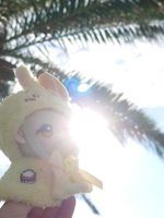ウサみ