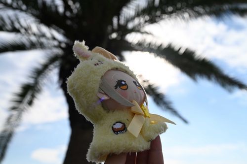 千葉フォルニアに行ってきた、よ