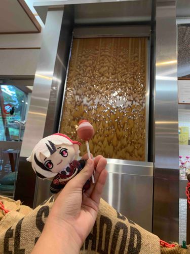 チョコの滝🍫(本物)