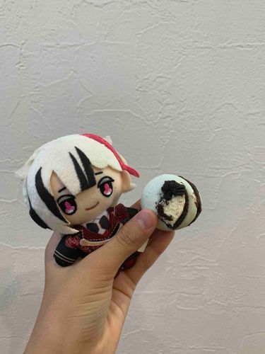 姉がマカロン作ったよ😄