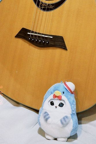 2026·9·12( ´ ▽ ` )🎸🐈