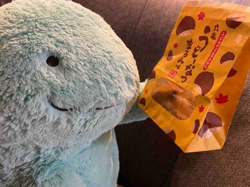 ほくとがCMしてるうどーなつまろん味一緒に食べるって約束したのにご主人が独り占めしちゃったぬ！！中身がすっからかんだぬ！！！！