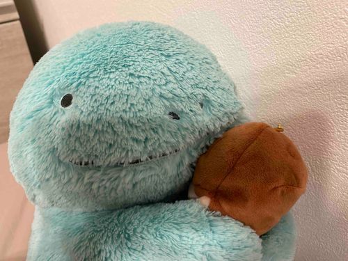 ぬおちゃんの大好きなじゅりじゅりだぬ！毎日一緒にいられるのが嬉しいぬ‼︎