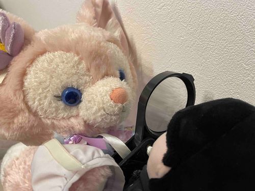 ほくちーまの口のあたりにある点は何かしら?わからなくてモヤモヤするわ…探偵ナベルちゃんの虫眼鏡で解決するわ🔍
うーん、わかったわ！朝ごはんにごま塩おむすび食べてごまが残ってるんだわ！
（なんか変なあだ名つけられた…近い…ほくろです…）