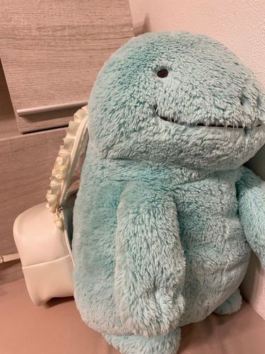 ぬおちゃん、ぬいポーチに入るぬ！
いざとなればモンスターボールにも入れるからこのサイズならよゆうだぬ！！