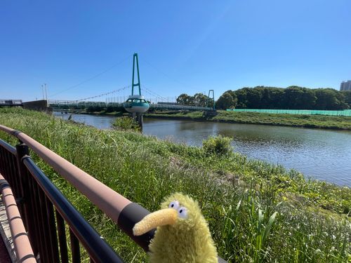 良い天気なので近所を散歩〜。カラッとしてて気持ち良いういん👍