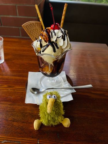 今日は生まれて初めてチョコレートパフェを食べたういん。
同居人の酒飲みふくろうがちょっとの間禁酒中。そうすると甘い物食べたくなるってほんとかういん？
とりあえずお付き合いしたけど、僕はこれ、毎日でも良いういんよ♪