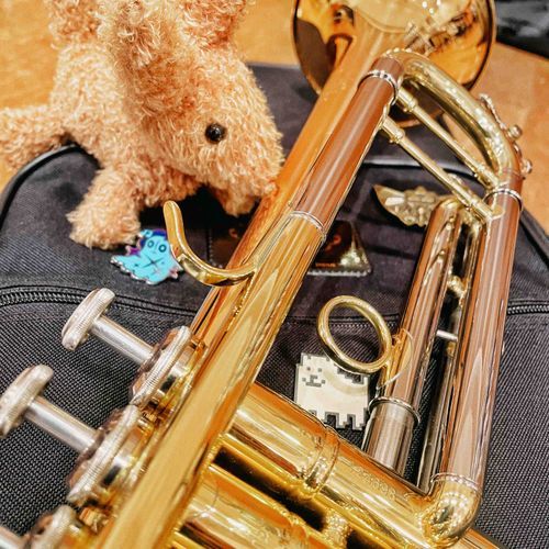 楽器を演奏するために、ちょっと遠くへ。
邪魔しないよう、鞄に潜り込んで聴いていたけど、素敵な時間だった