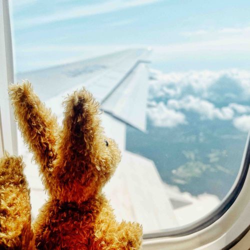 ぼく、空を飛んでる。友だちの王子さまの所までは、ずいぶん遠いけれどね