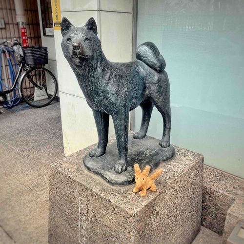 並んだら、ぼくも凛々しく見えるだろうか