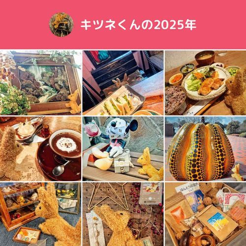 あちこちに行けた日々だったな。
これからも色々な素敵なものを、見聞きしたいね