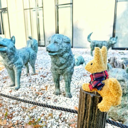 とても厳しい寒さの中、懸命に生きようとした犬たち。それぞれの子たちを、襟巻きでくるんでいってあげたい気持ちになった…