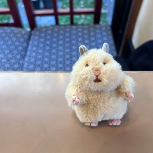 ぷくげでち。よろしくでち。
