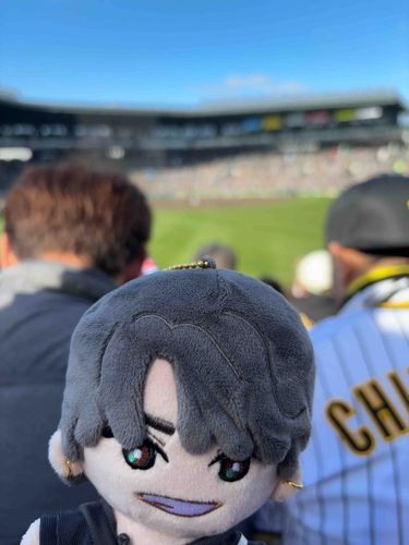 この間、阪神甲子園球場に野球観に行ったよ⚾️