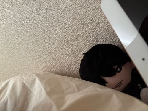 の、のぞいてる💦