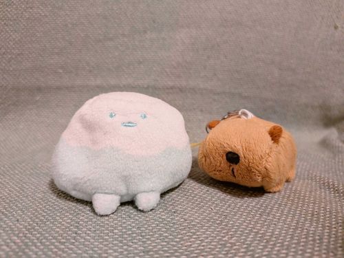 今日は山の日です
