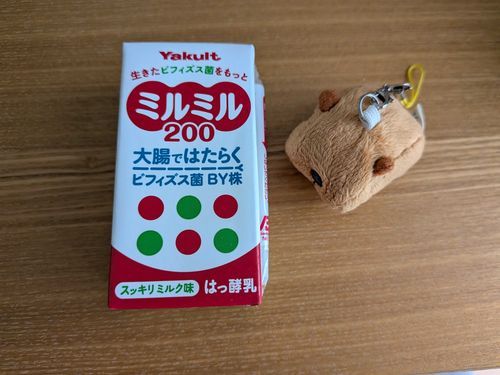おなか、たいせつに